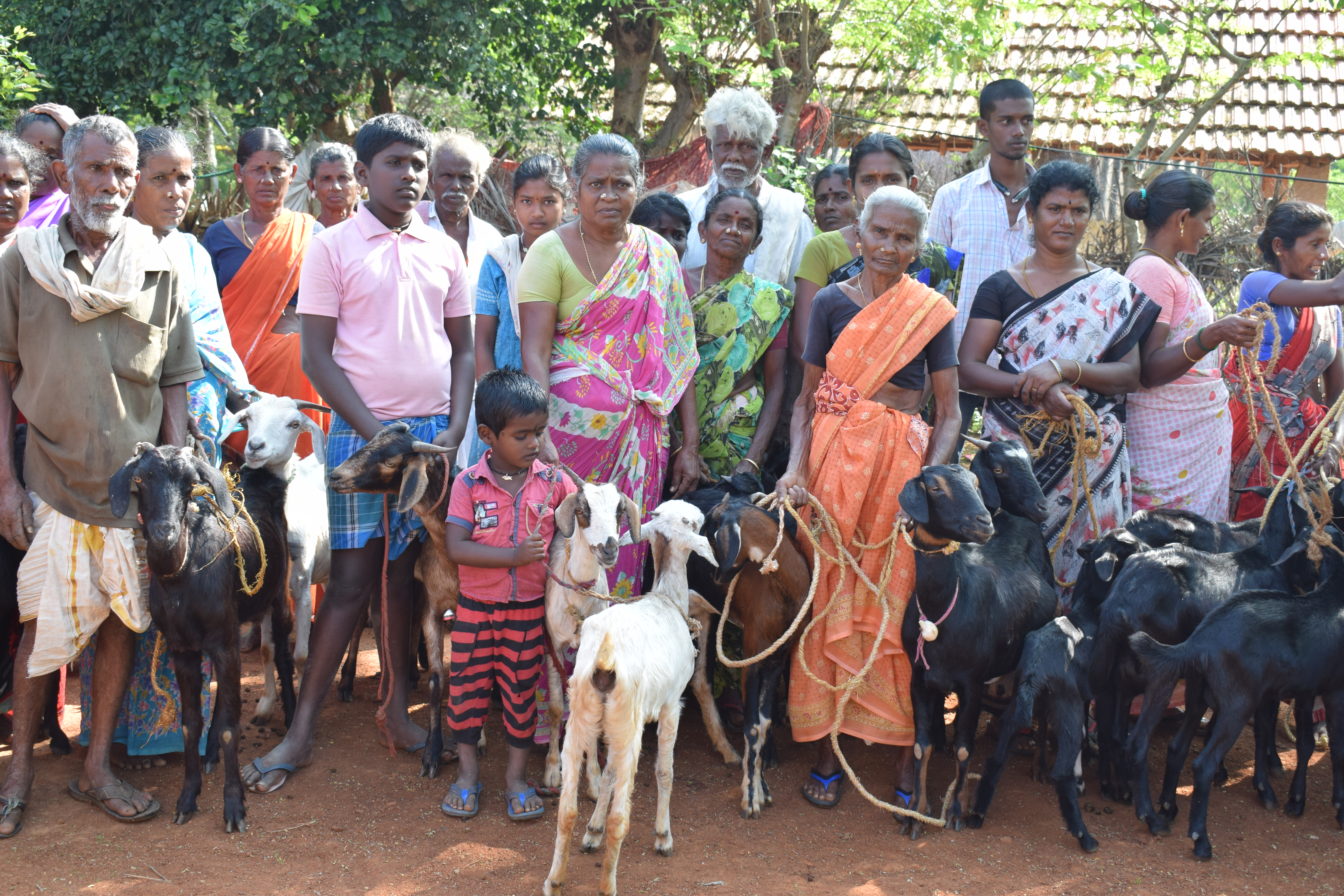 Goat Program image 1