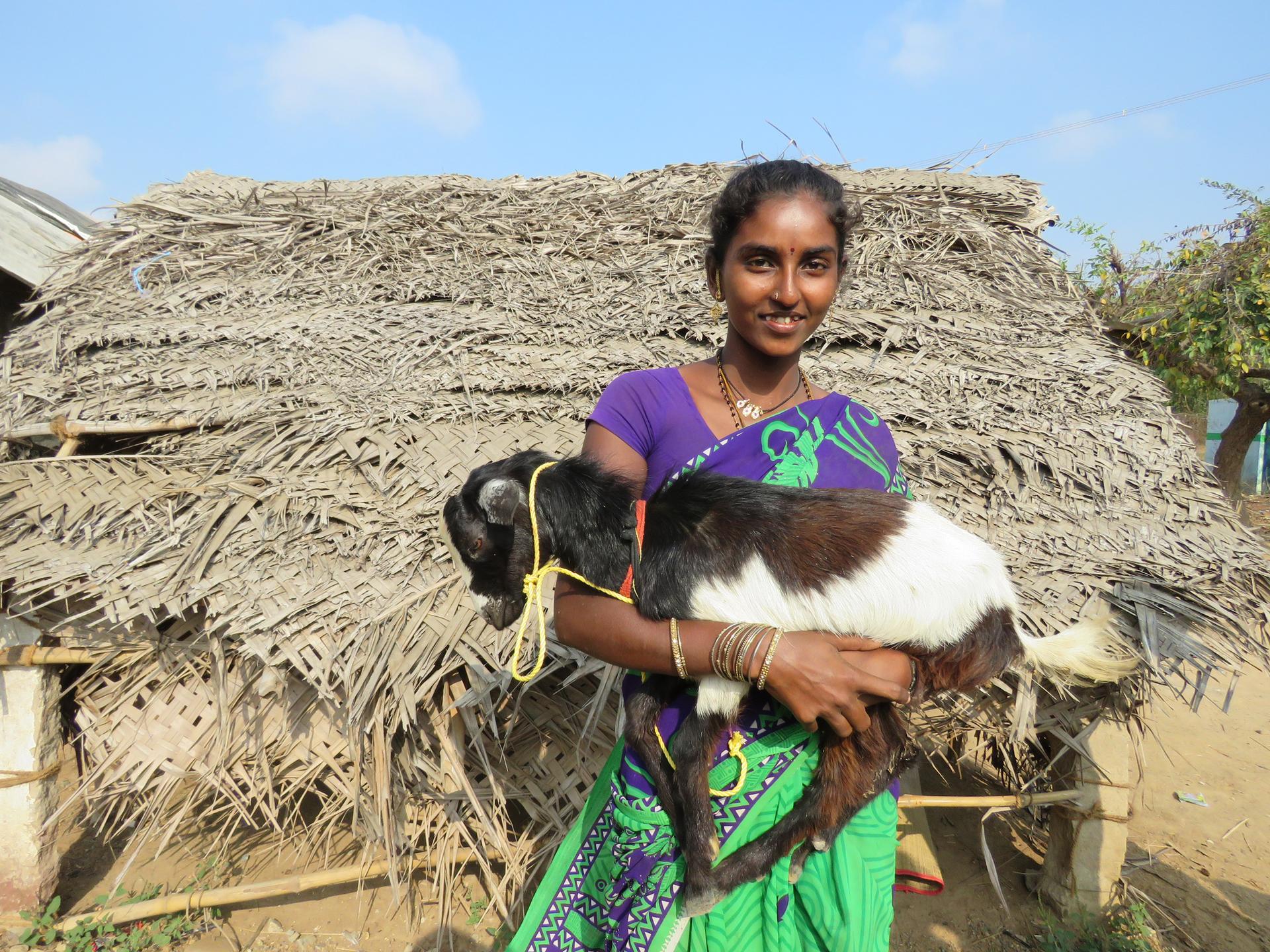 Goat Program image 11