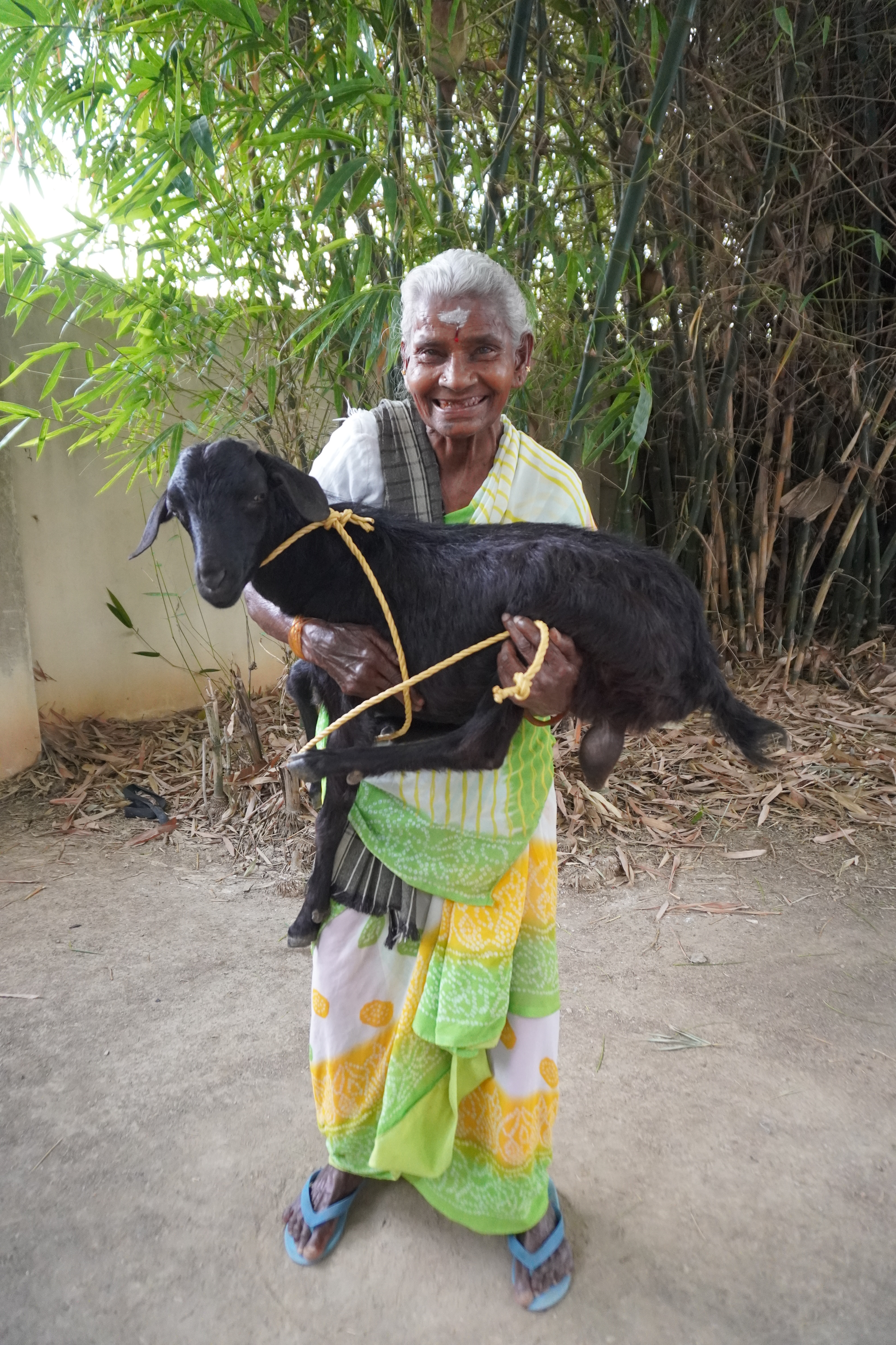 Goat Program image 6