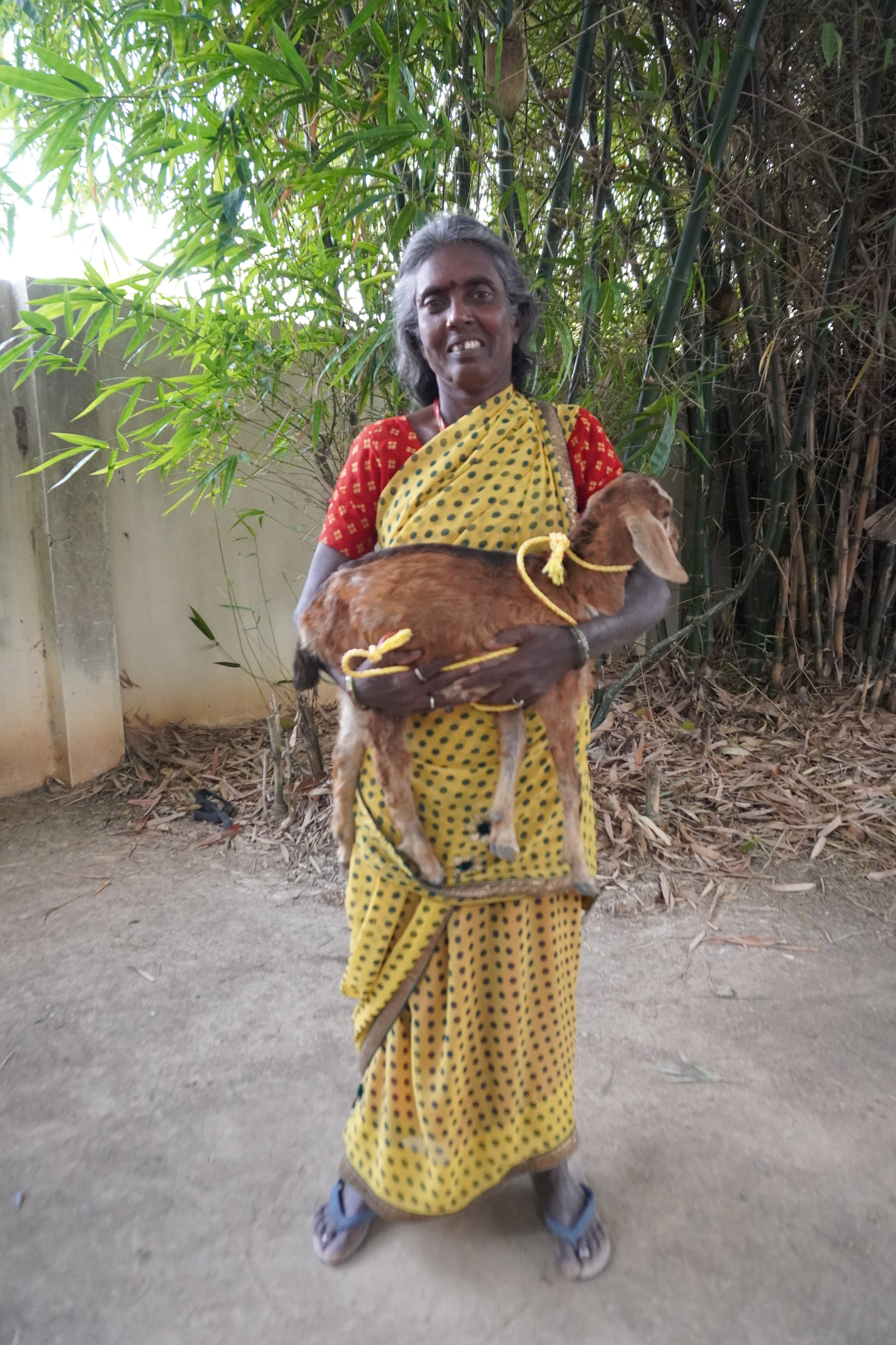 Goat Program image 8