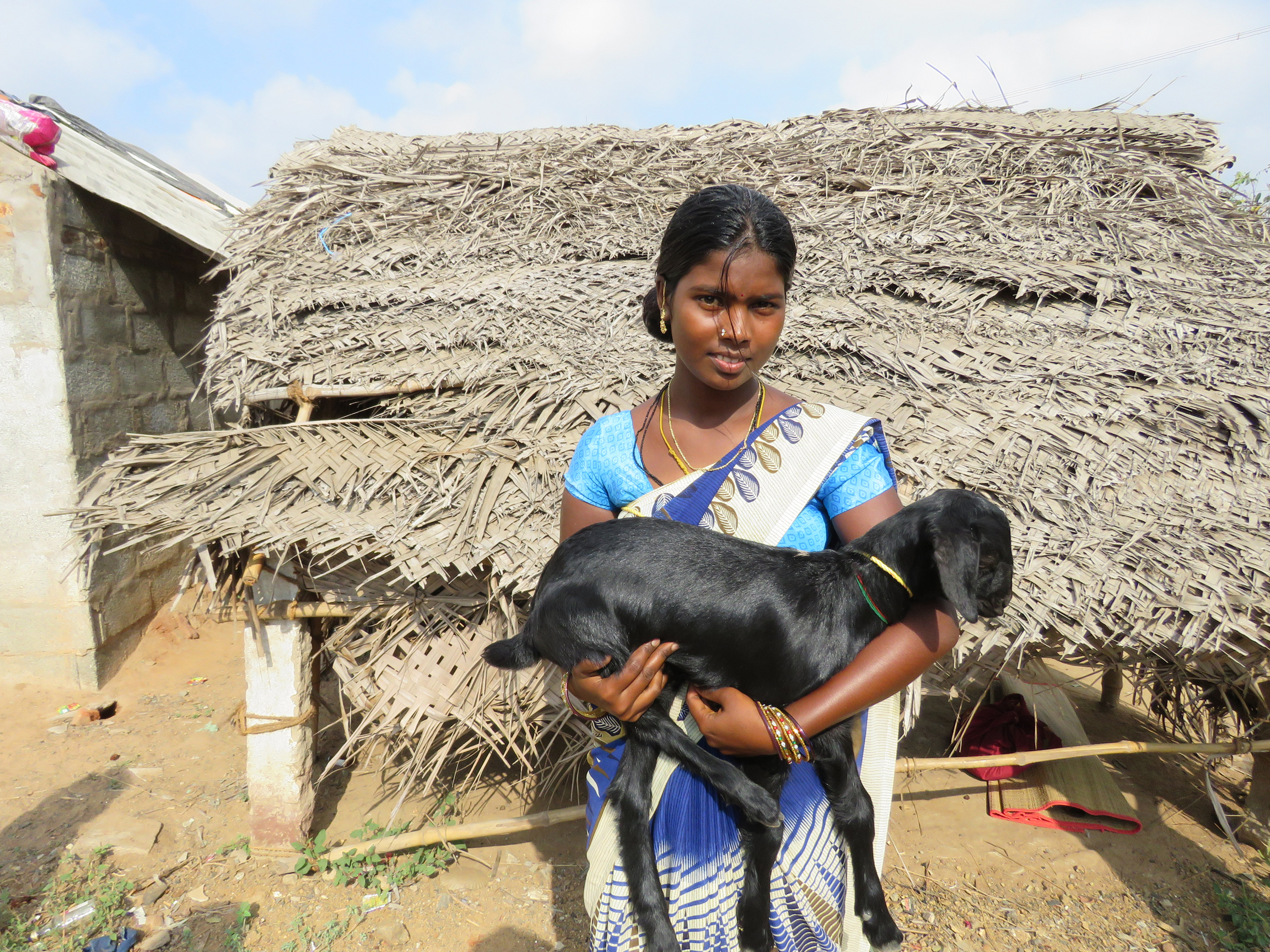 Goat Program image 14